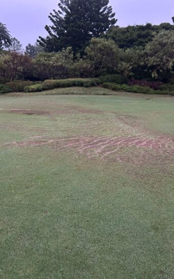 WhatsApp Image 2025-10-24 at 00.07.25