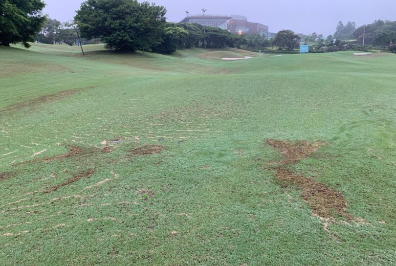 WhatsApp Image 2025-10-25 at 00.21.01