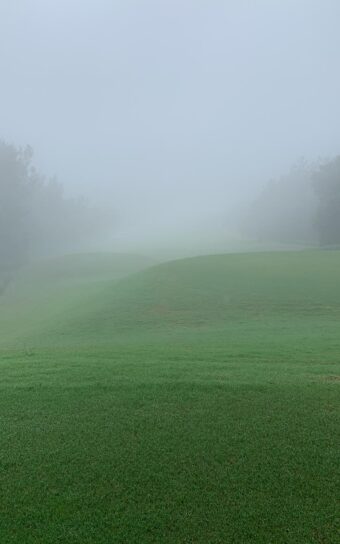 WhatsApp Image 2025-10-25 at 03.14.28