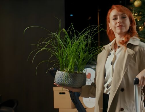 TAWAN dotek harmonie a relaxace